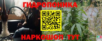 a pvp Кунгур