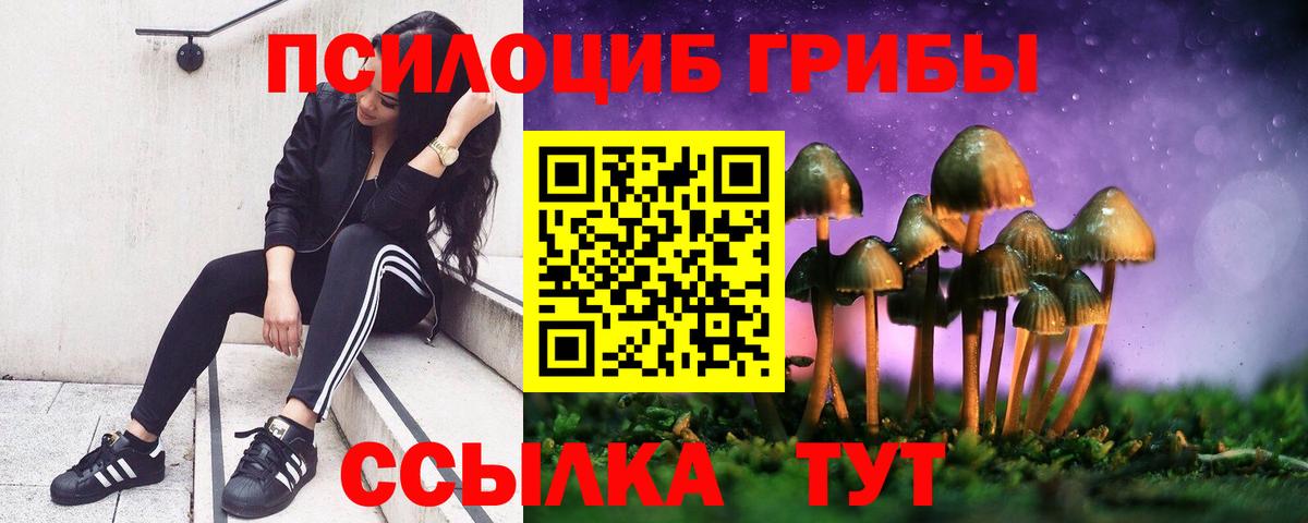 Йошкар-Ола  Галлюциногенные грибы ЛСД  Галлюциногенные грибы мицелий  Вход с VPN 